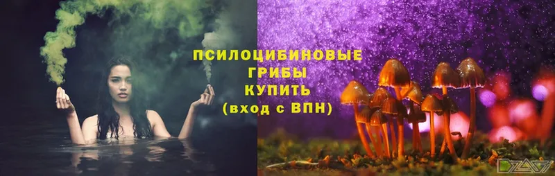 Псилоцибиновые грибы Magic Shrooms  Давлеканово 